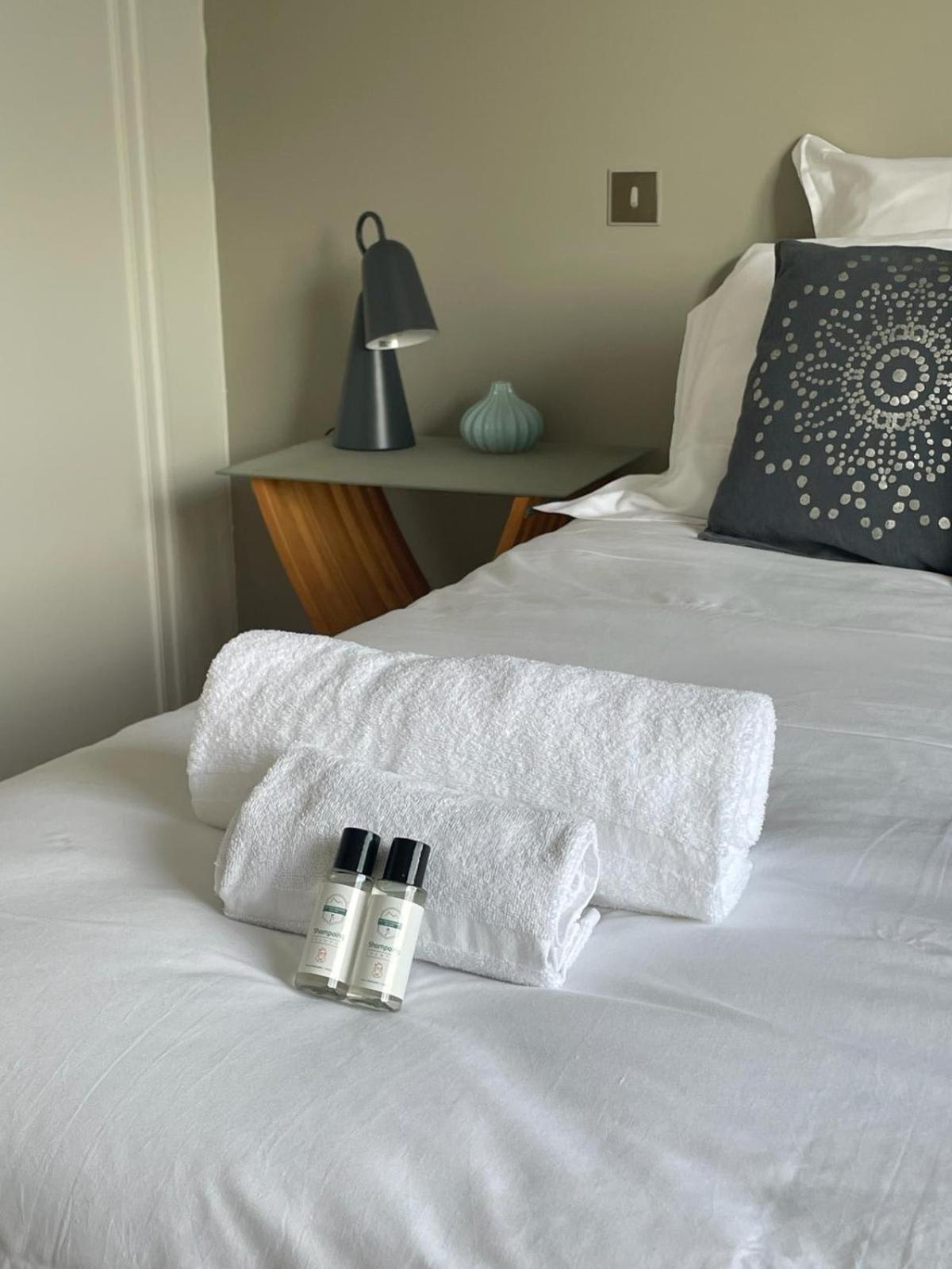 Tournette-Comfortable And Quiet Luxury Apartment Annecy Eksteriør billede