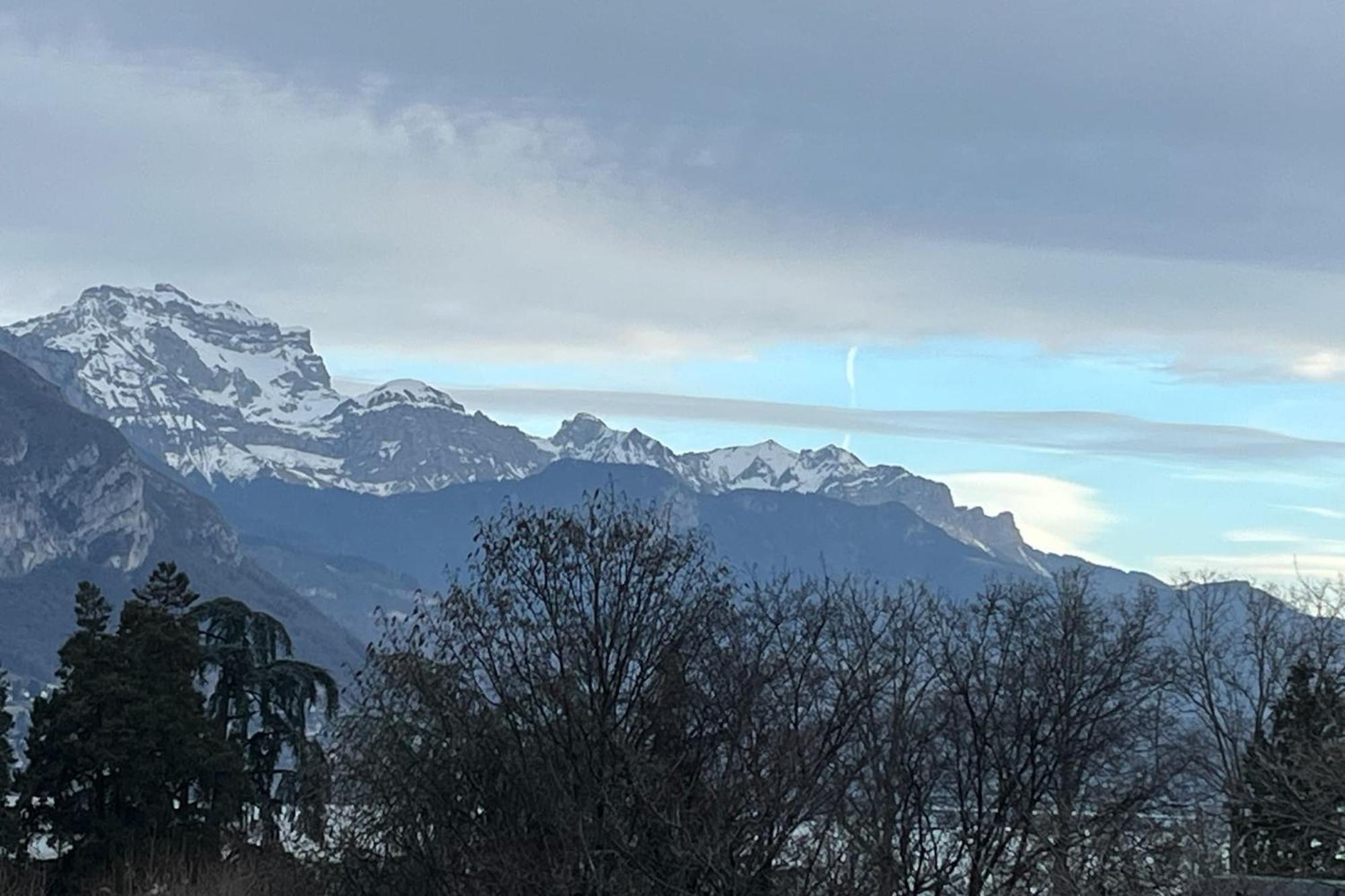 Tournette-Comfortable And Quiet Luxury Apartment Annecy Eksteriør billede